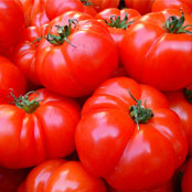 blog_may_tomatoes