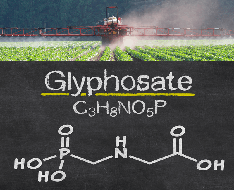 glyphosate-blog