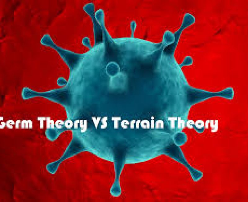 theory-2